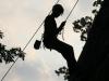 Climber siluette