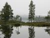 Mirror lake