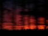 Sunset in motion