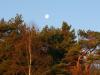 Sunrise and moon