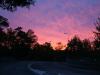 Morning colours