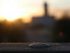 Sunrise over Kista