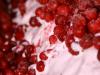 Lingonberry icecream