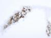 Frost covered grass straw