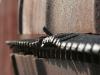 Oil barrel grill