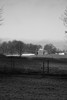 062 (341x512, 35,2 kilobytes)