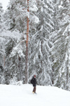 <b>Snowboard i Borlänge</b><br>Under helgen åkte vi till Borlänge och åkte snowboard istället vilket gick mycket bättre<br>Tagen 13:35 den 25 januari 2009 av Karl-Petter Åkesson