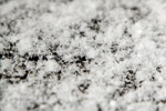 <b></b><br>Snö<br>Tagen 23:02 den 26 januari 2009 av Karl-Petter Åkesson