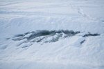 <b>Förädiskt och kallt</b><br>Vatten trängde upp igenom isen och syntes först när man körde in i det. Man fastnade direkt och oftast trillade som resultat!!<br>Tagen 15:40 den 20 februari 2010 av Dennis Sturm